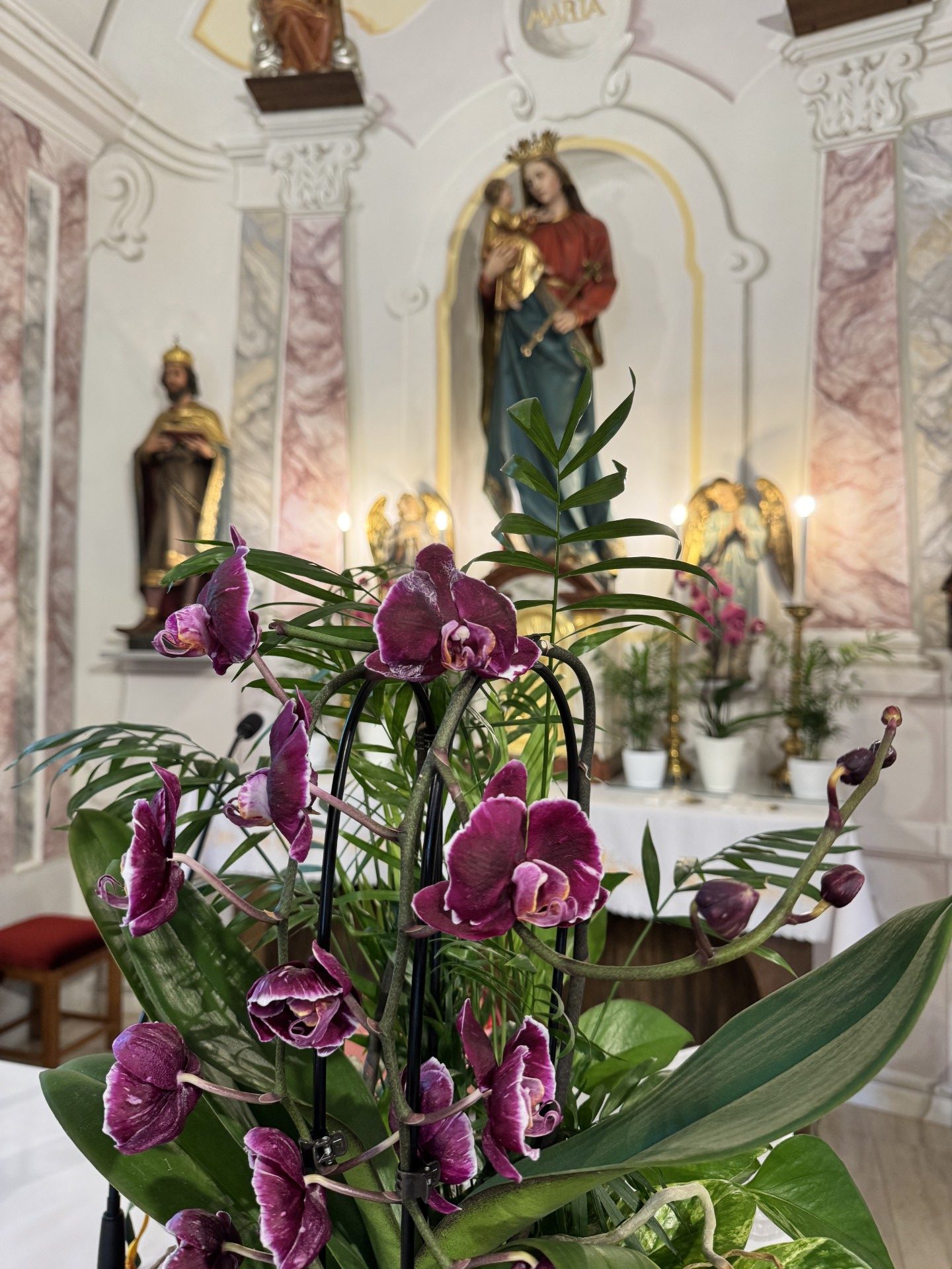 Májusi hírek: befizetés, köszönet és Szent Flórián ünnepe