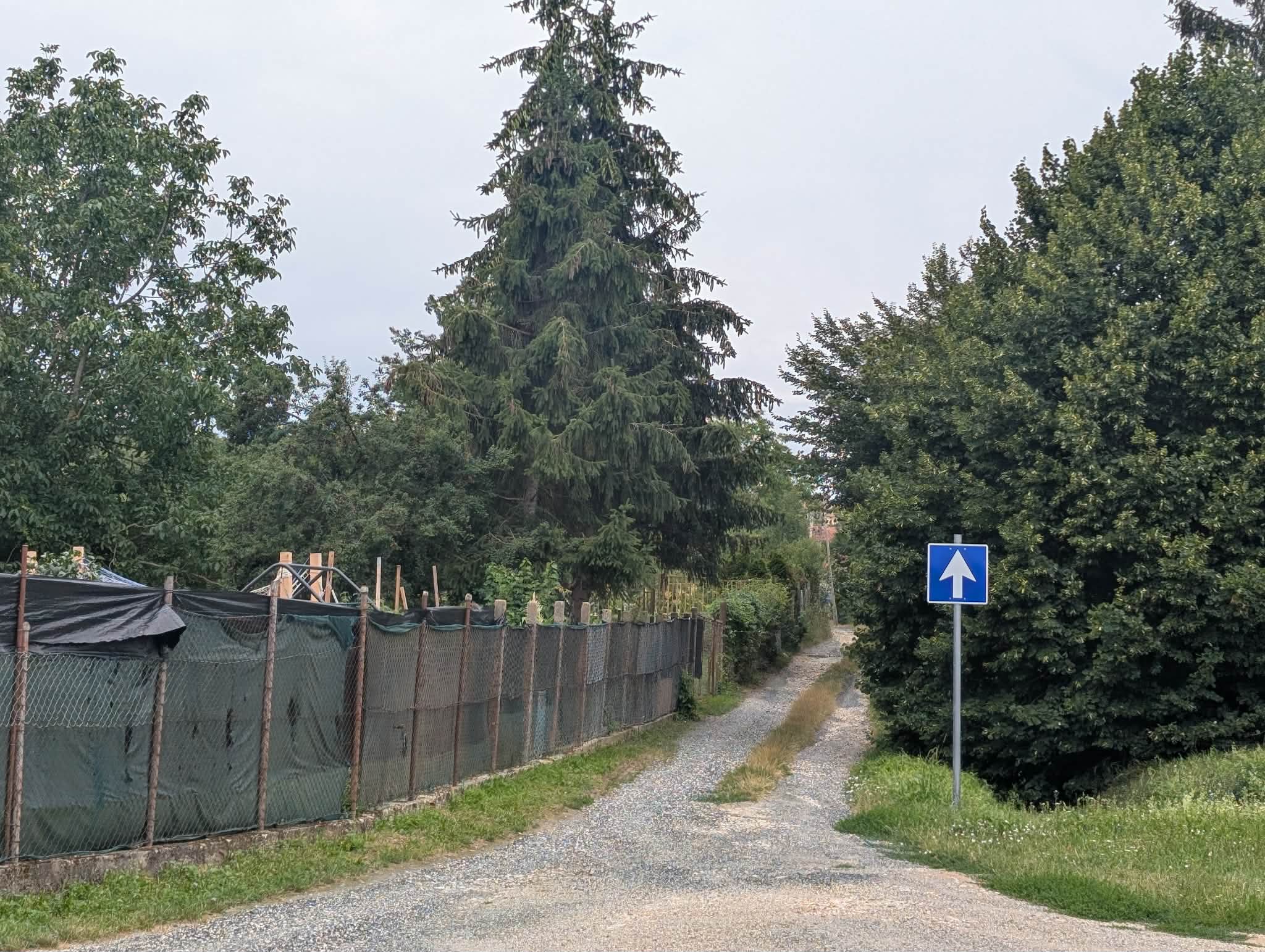 Tájékoztatás – ideiglenes útlezárás
